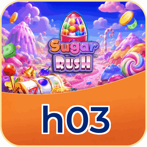 h03